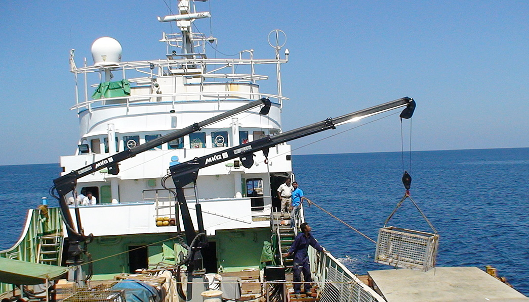 Marine Cranes Image