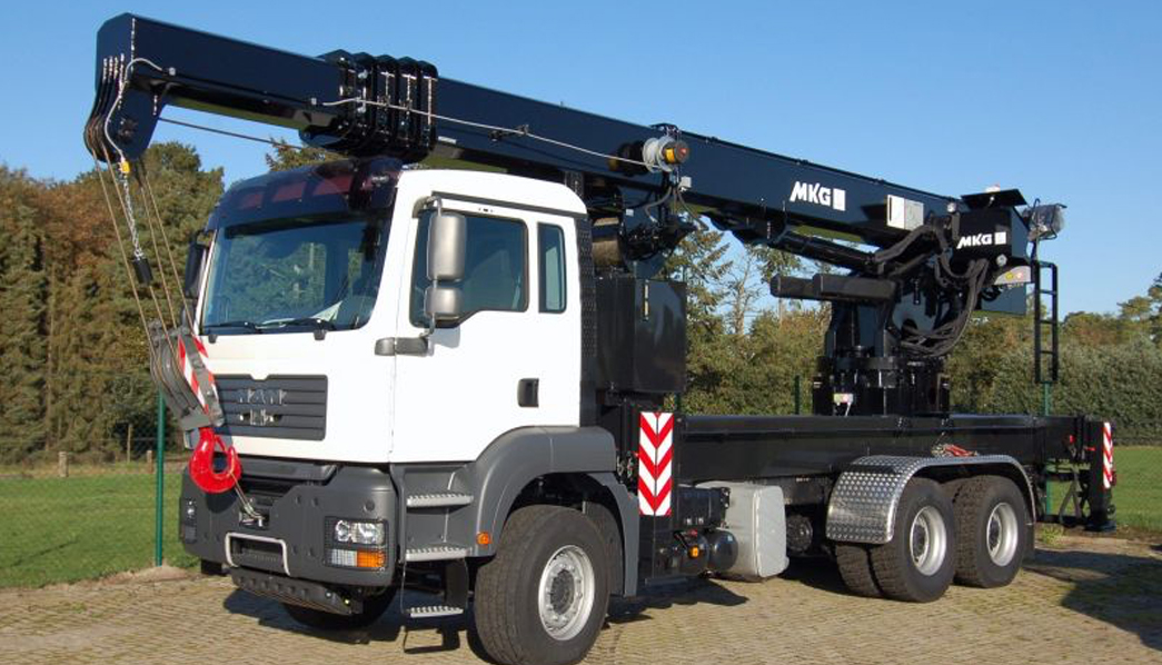 Telescopic Cranes Image